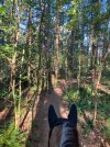 IMG_1334.jpeg