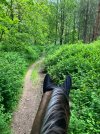 IMG_1343.jpeg