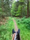 IMG_1345.jpeg