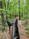IMG_1347.jpeg