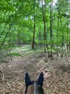 IMG_1359.jpeg