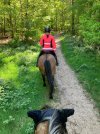 IMG_1361.jpeg