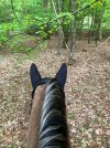IMG_1371.jpeg