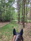 IMG_1372.jpeg
