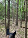 IMG_1373.jpeg