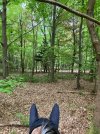 IMG_1375.jpeg