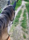 IMG_1376.jpeg