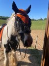 IMG_4999.jpeg
