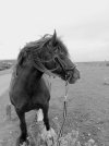 IMG_20250622_170615~2.jpg
