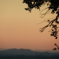 poultice boot turnout