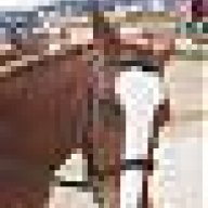Sore butt sydrome | New Rider Forum