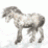 Snow_Pony