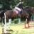 Jenbee