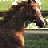 CurlyRider