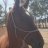 Dancing with Horses