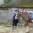 loveponies