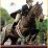 Showjumper03