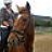Horseswillrule1