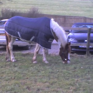 Tilly