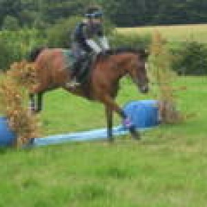 XC schooling