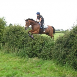 Bonnie show jumping