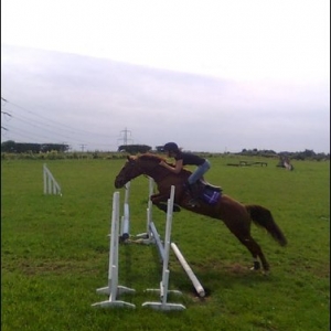 Riding other horses
