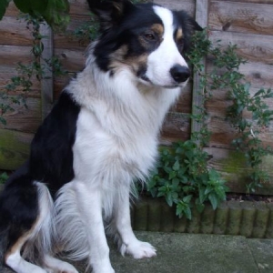 Monty