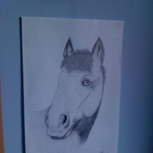 Pony Portraits 2011