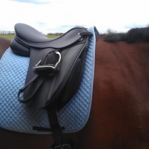 Nordic - saddles