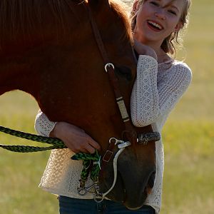 Horse Photography
