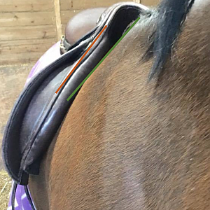 saddle fit