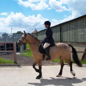 Me and Maypark Goldenboy showing