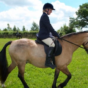 Me and Maypark Goldenboy Showing