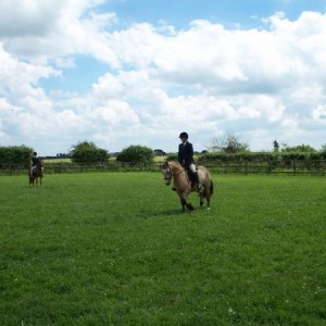 Me and Maypark Goldenboy Showing