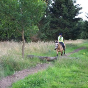 Me and Maypark Goldenboy cross country  practice