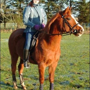 dawn looking like grandsire dadia