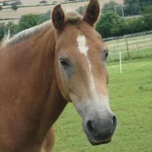 IMG 1426 r1
Buddy 02/08/07