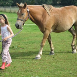 IMG 1663
Buddy 25/08/07