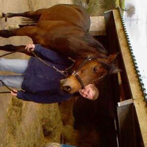Photo 0035