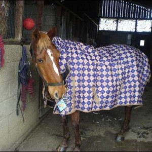Bit of girly rug :)