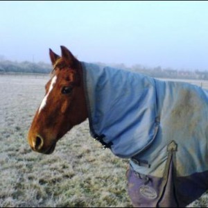 He's a right poser