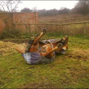 Having a good old roll :)