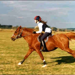 dawn galloping 2003