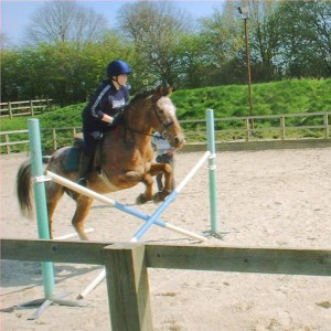 Jumping Shrek