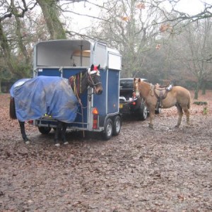 IMG 2034

Senor and Buddy waiting to go on the Criollo Ride in The New Forest 22 December 2007