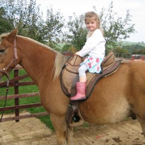 IMG 1804

14 October 2007
