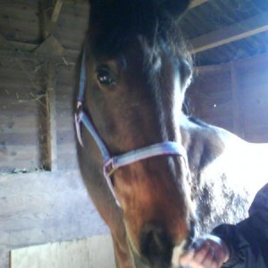 Awww gorgeous girly! <3