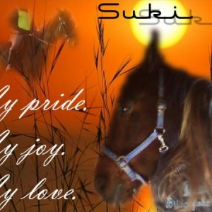 Someone lovely on NR made this for me...cant remember who though lol.