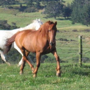 See my sexy beastness
