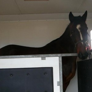 Off to his new home in the posh rear facing lorry